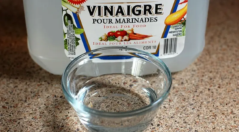 clean a garbage disposal with vinegar and baking soda